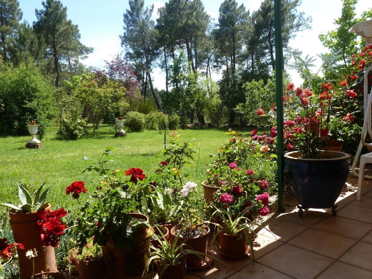 Vila Domaine Du Planas - Patio Ailhon Exteriér fotografie